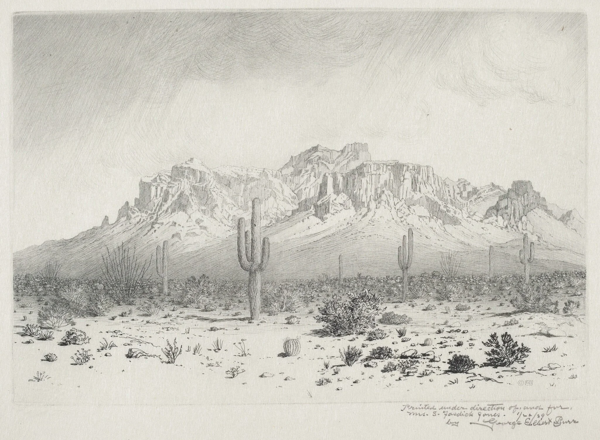 Superstition Mountain, Apache Trail, Arizona (no.1), detail