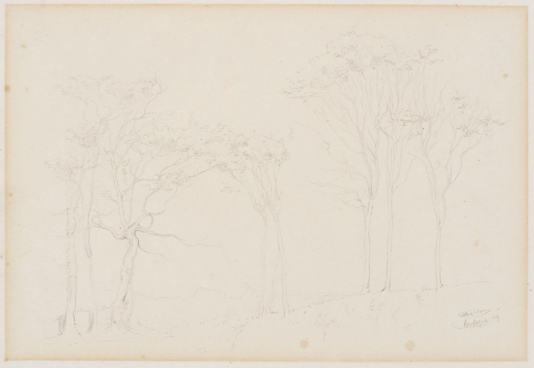 Untitled, detail