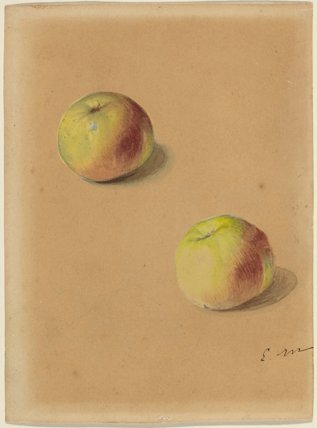 Two Apples, by Edouard Manet, graphite, 1880