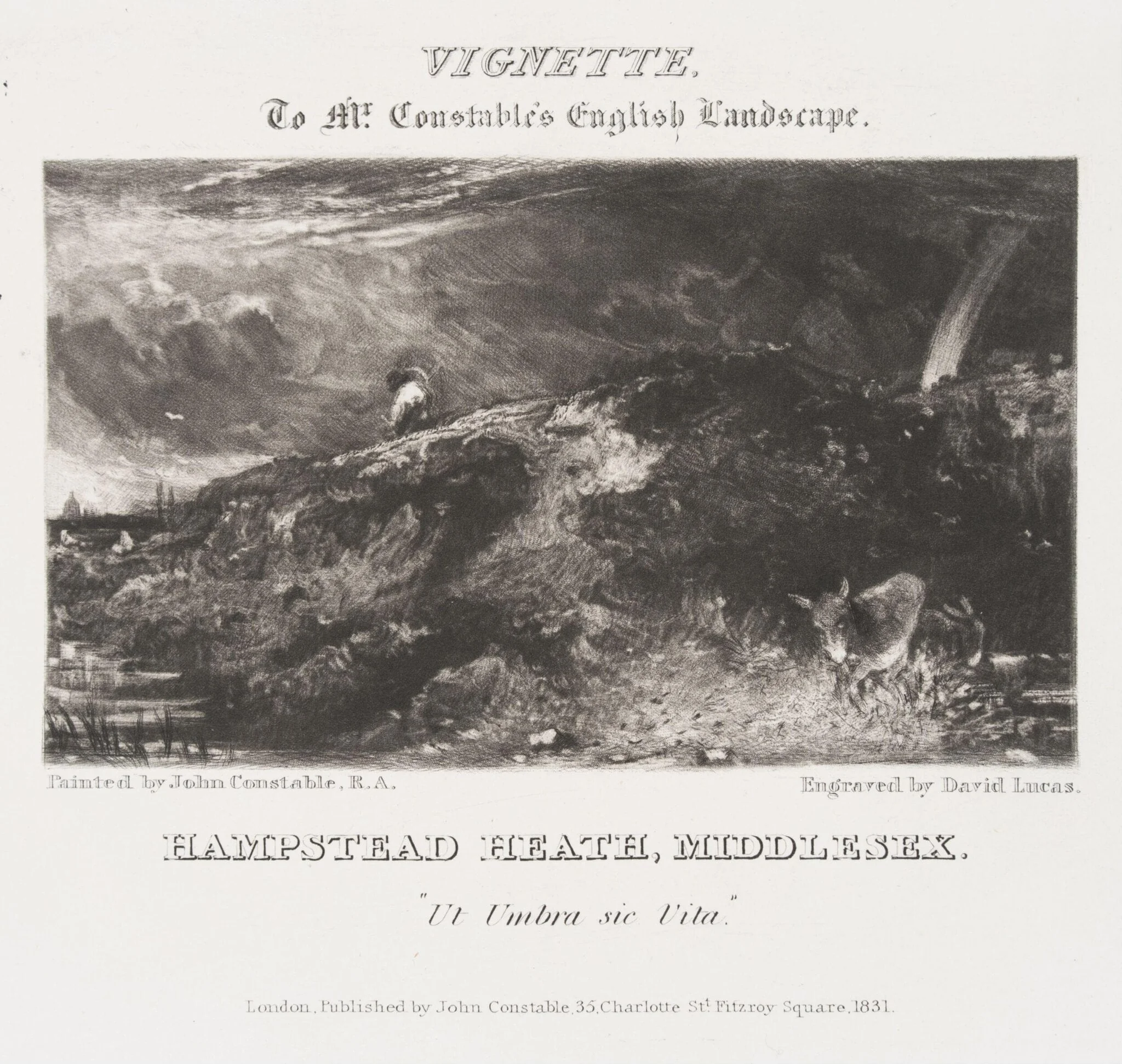 HAMPSTEAD HEATH, MIDDLESEX, detail