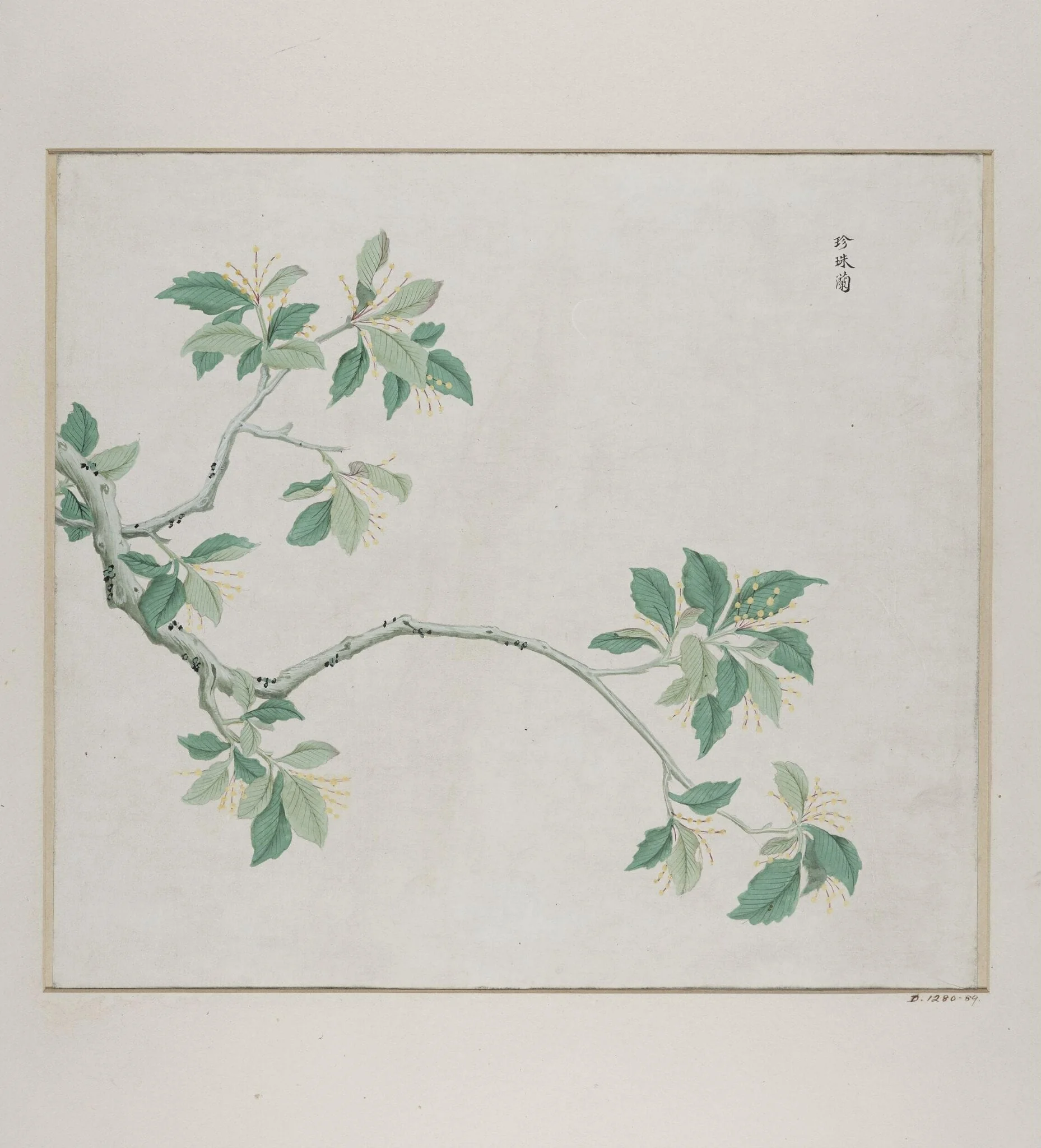 Zhen Zhu lan, detail