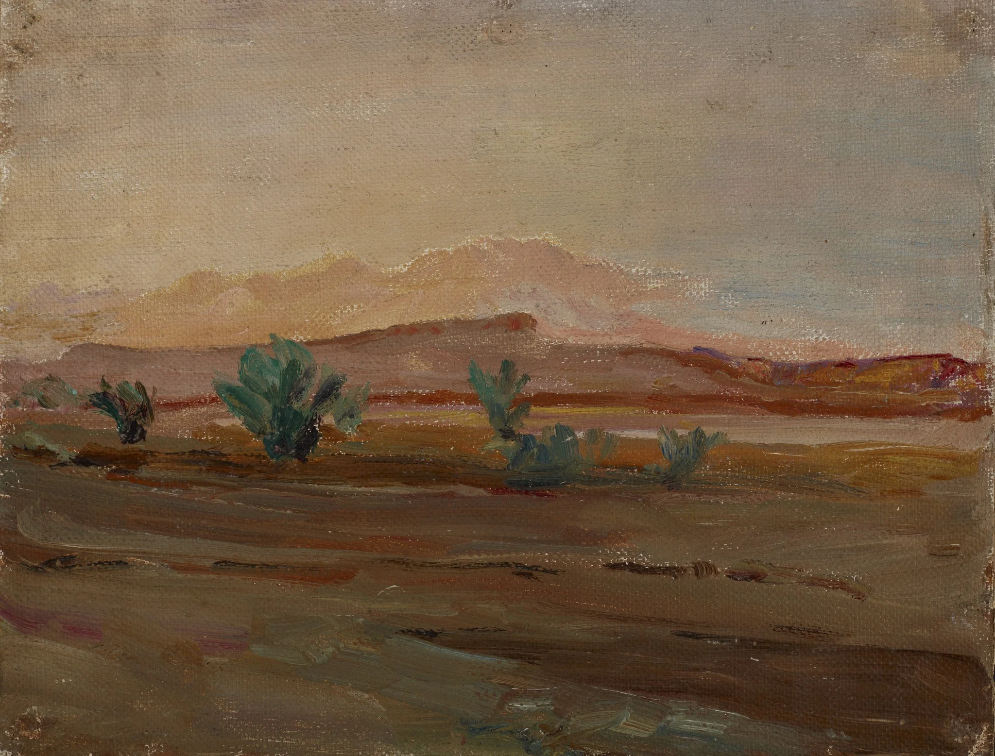 Sahara (Desert after a Rain), detail