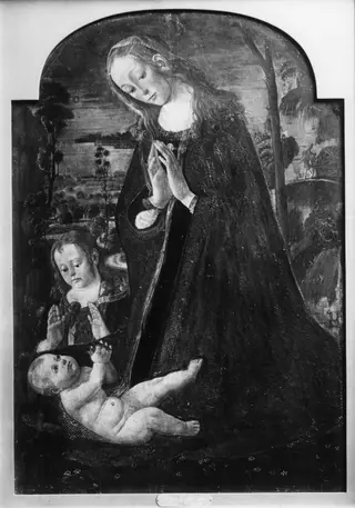 Madonna Adoring the Child, by Jacopo da Sellaio, oil
