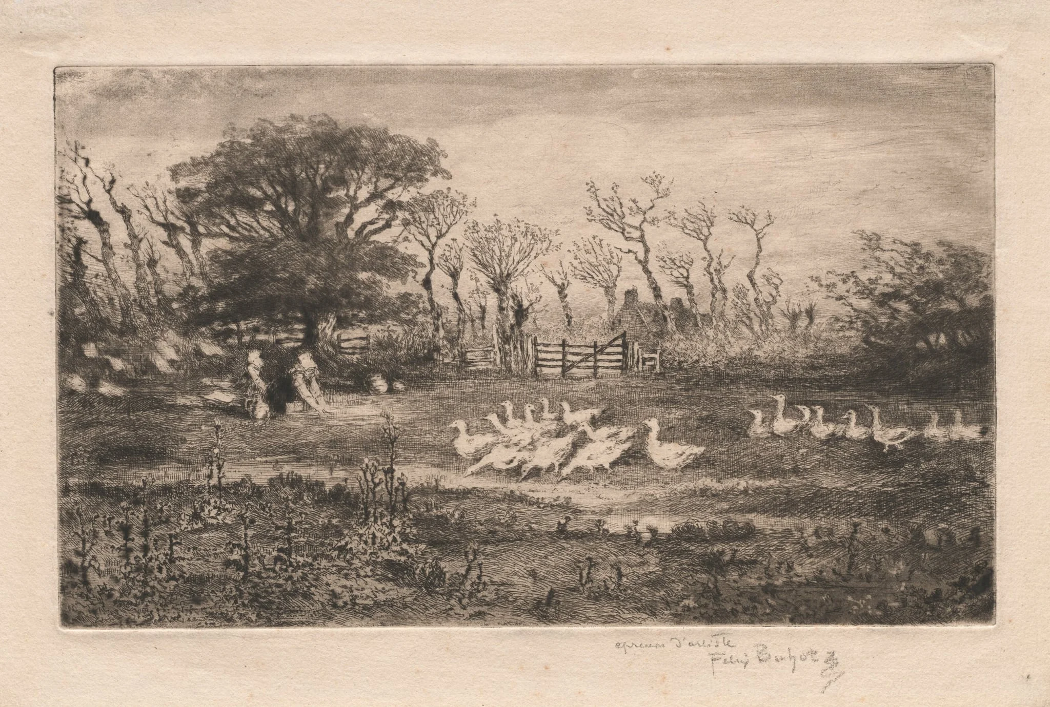 Geese, detail