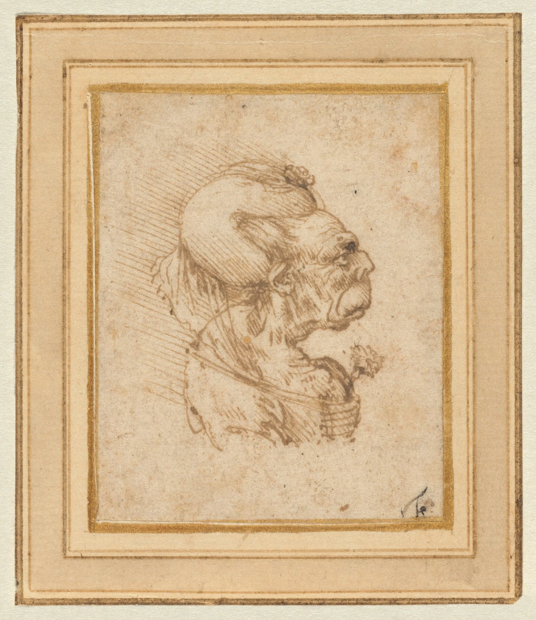 Grotesque Head of an Old Woman, detail
