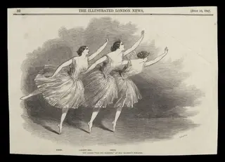 H Beard Print Collection, by Smyth, 10