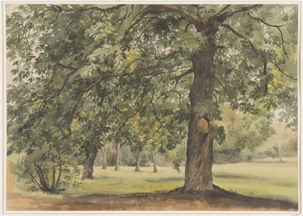 Landscape with Chestnut Tree in the foreground, by Thomas Frederick Collier, watercolor, 1855