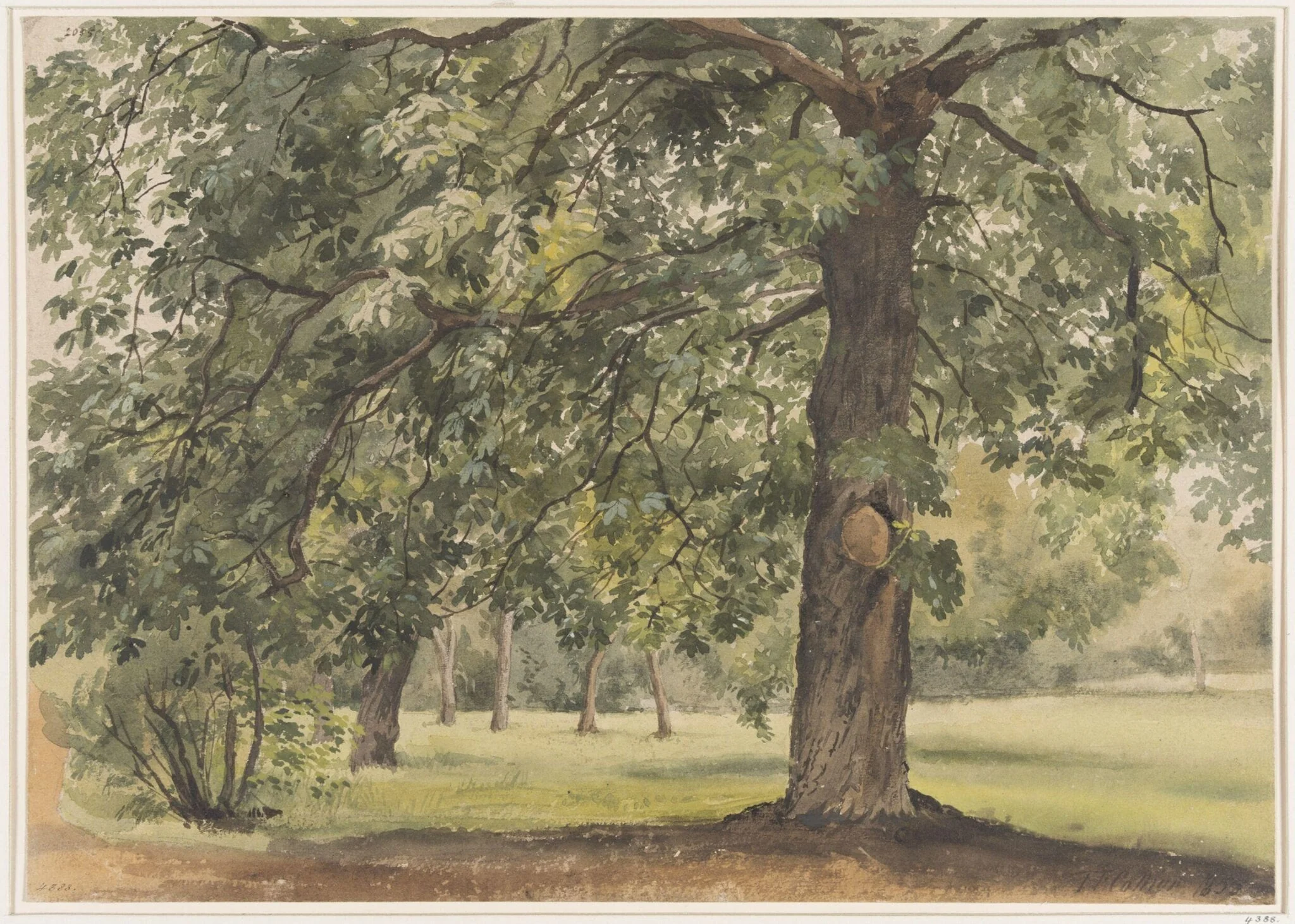 Landscape with Chestnut Tree in the foreground, detail