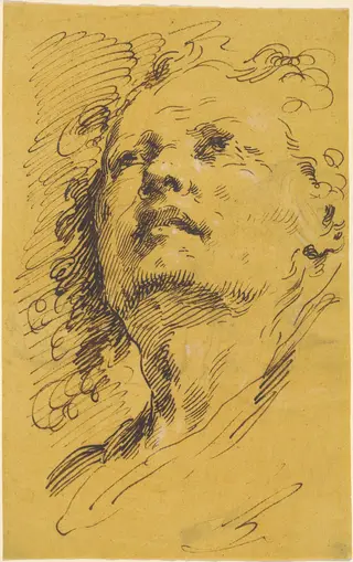 Head of a Man Looking Up, by Pietro Antonio Novelli, ink