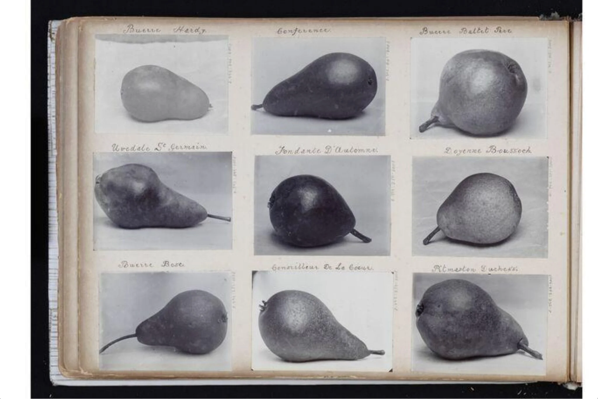 Untitled, detail