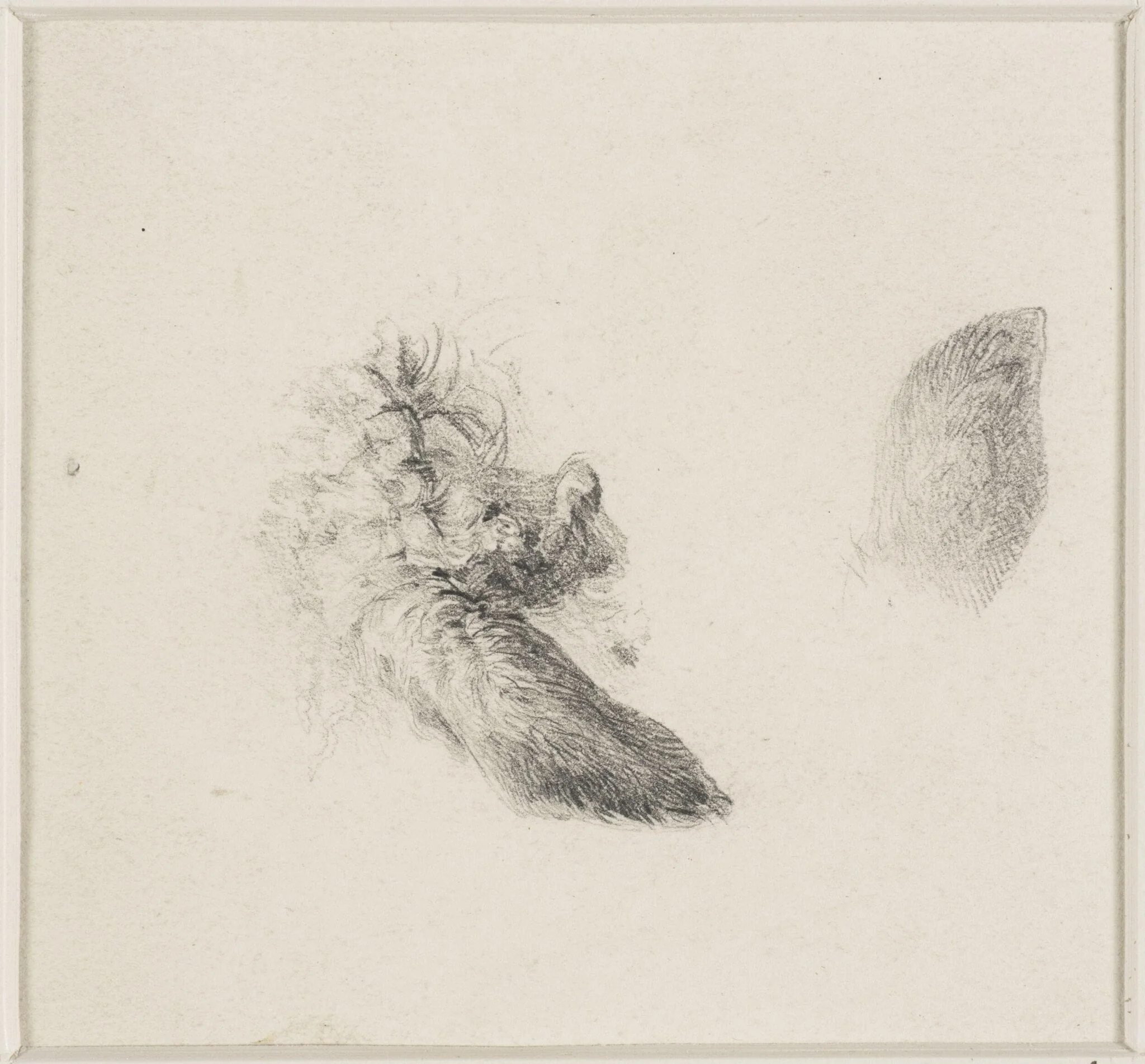Studies of animals' ears, detail