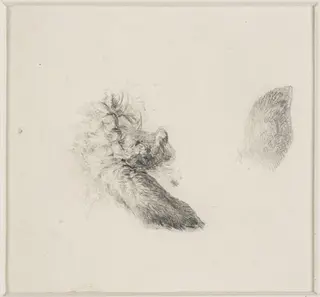 Studies of animals' ears, by Thomas Sidney Cooper, 1850