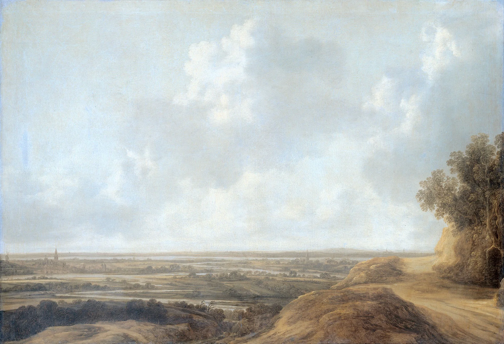 Panoramic landscape, detail