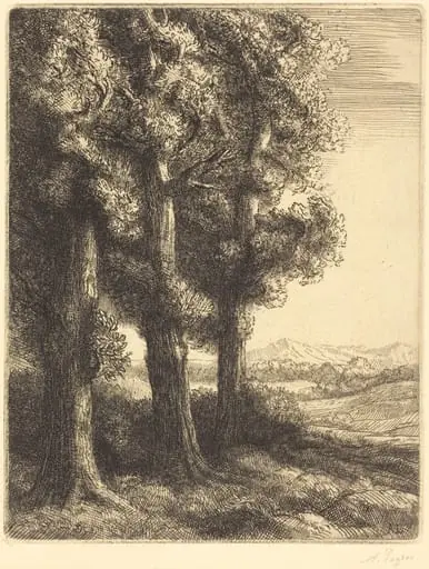 Corner of a Wood (Coin d'un bois), by Alphonse Legros, ink, 1882