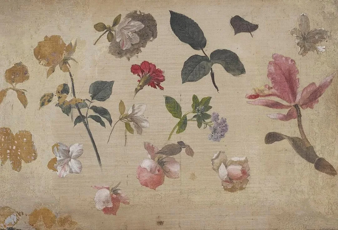Study of Pink Roses, Leaves, Heliotrope, a Carnation and an Orchid, detail