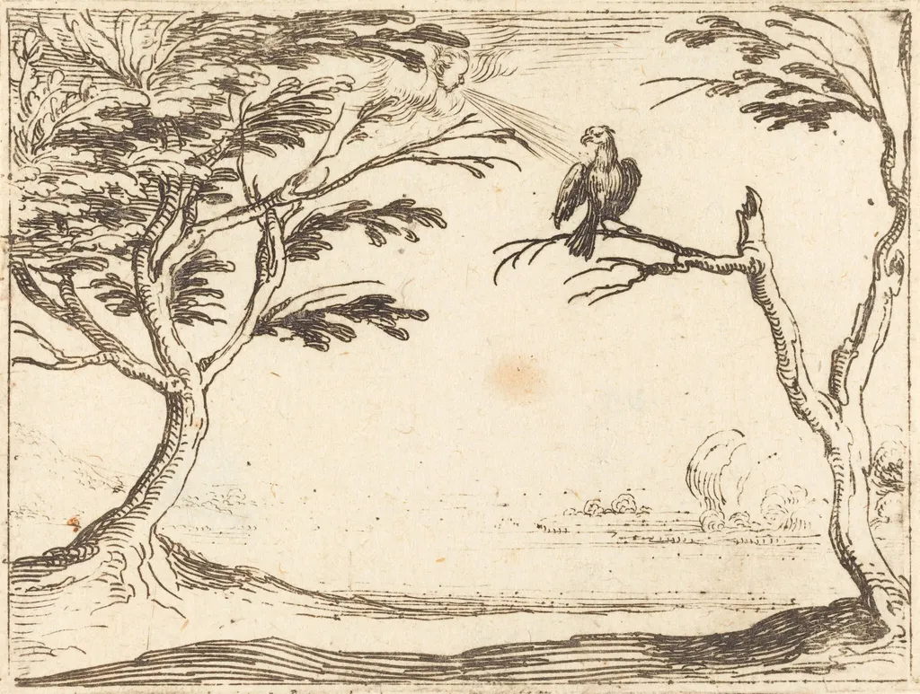 The Vulture, by Jacques Callot, ink, 1628