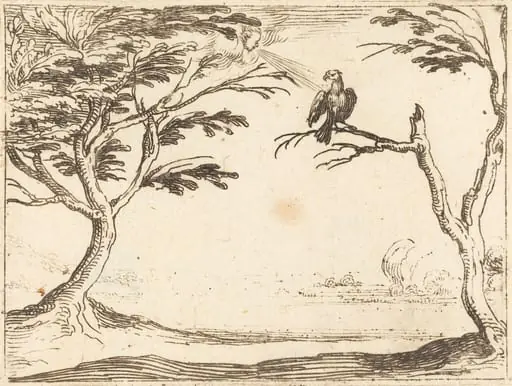 The Vulture, by Jacques Callot, ink, 1628