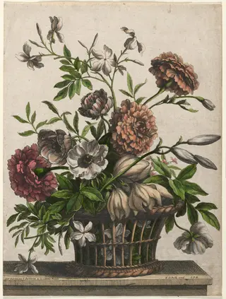 Marigolds, single Anemone, Jasmine..., by Jean-Baptiste Monnoyer, 1688