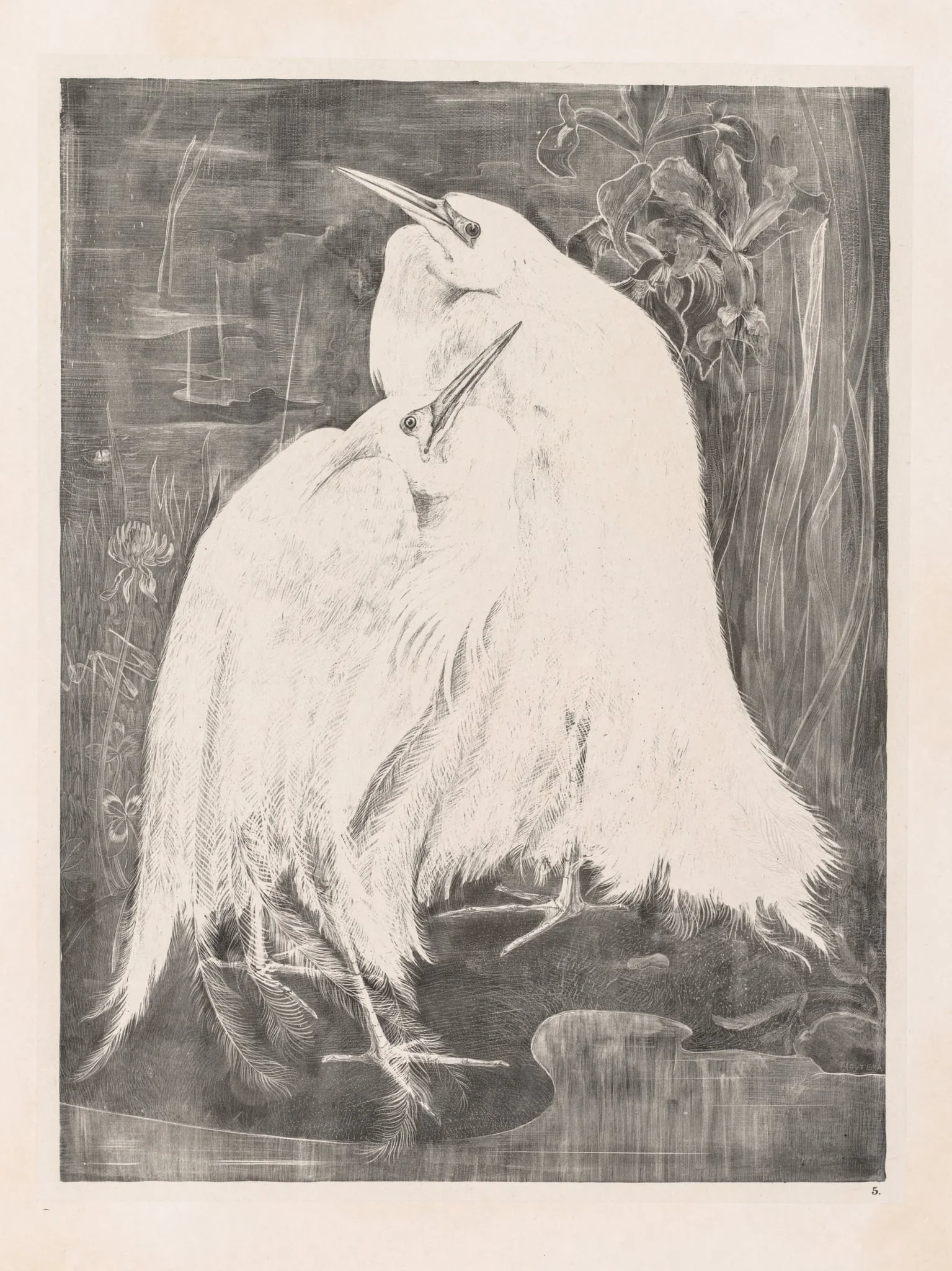 Animal Studies: Two Silver Herons, detail