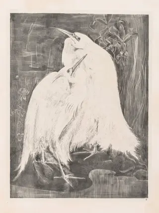 Animal Studies: Two Silver Herons, by Theo van Hoytema, 1898