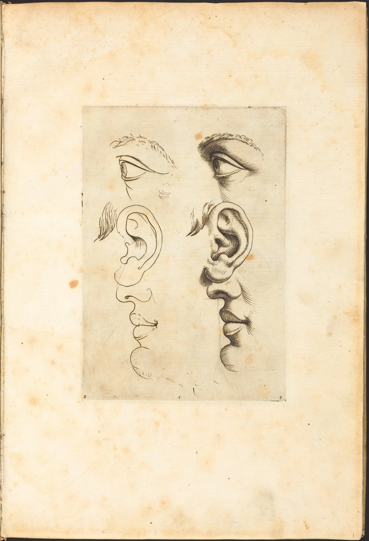 Print from Drawing Book, detail