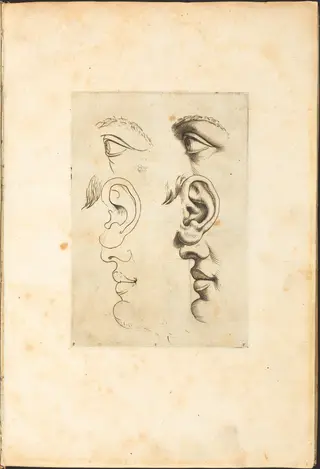 Print from Drawing Book, by Luca Ciamberlano, ink, 1615