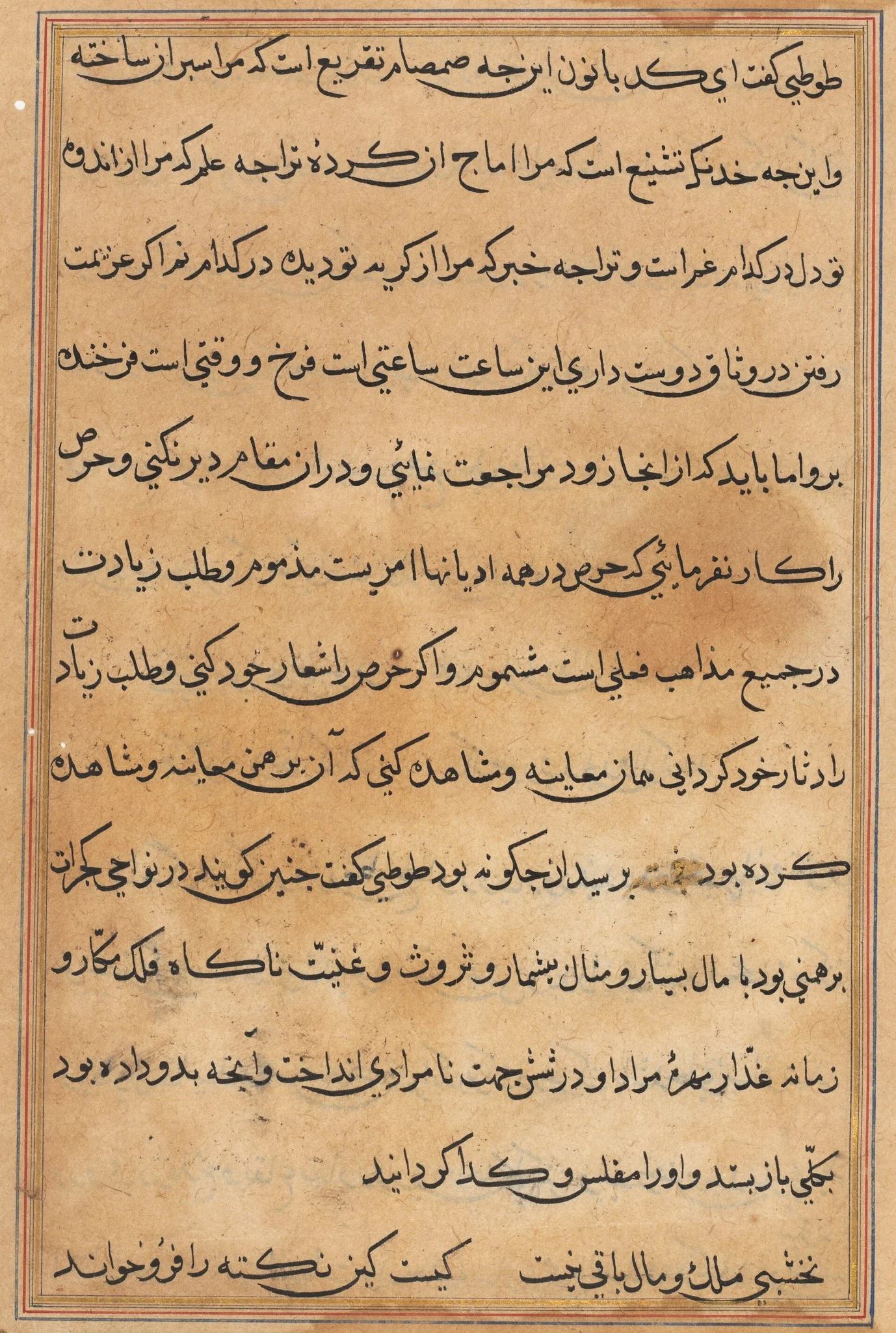 Page from Tales of a Parrot (Tuti-nama): text page, detail