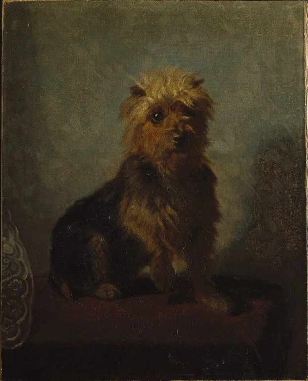 Chadwick's Dog, detail