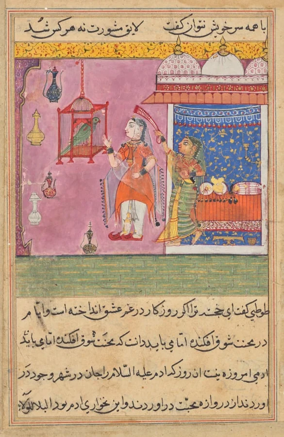 The Parrot Addresses Khujasta at the Beginning of the Nineteenth Night, from a Tuti-nama (Tales of a Parrot), detail