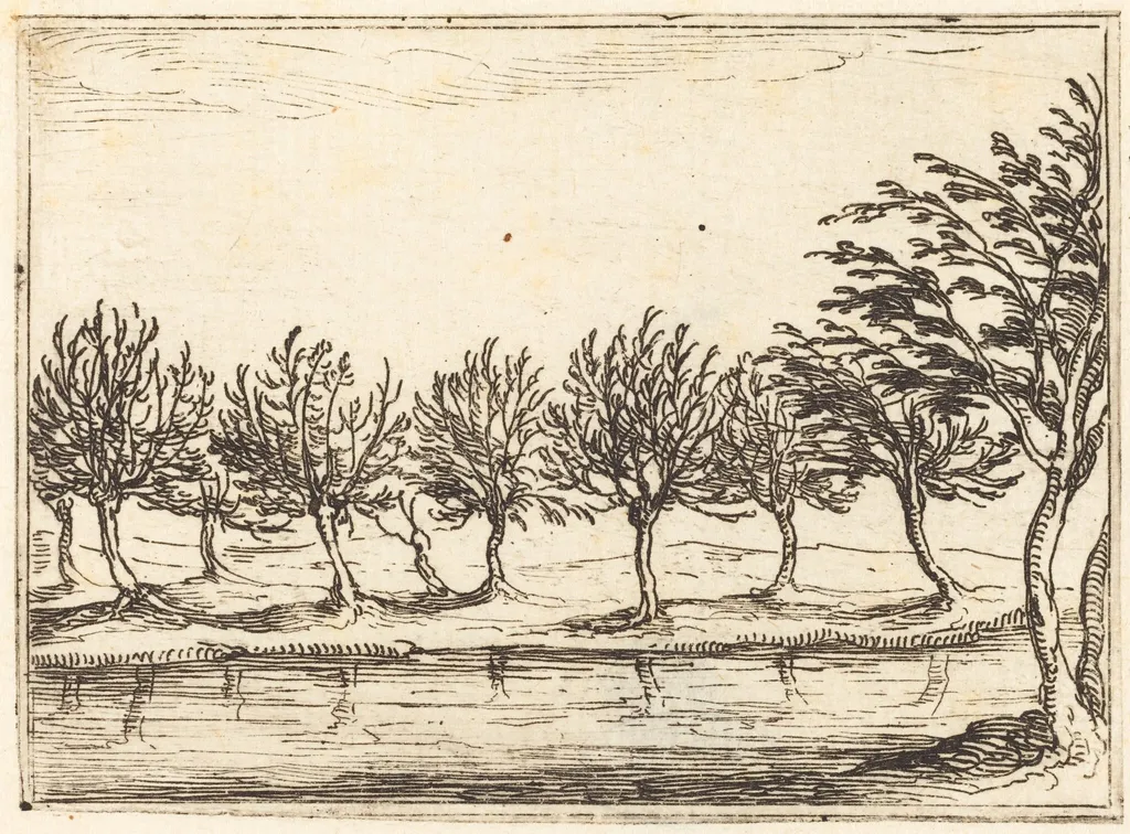 Willows by the Water's Edge, by Jacques Callot, ink, 1628