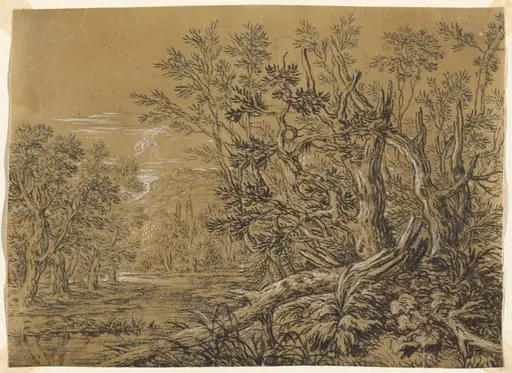 Stream through an Ancient Forest, by Jonas Umbach, chalk, 1658