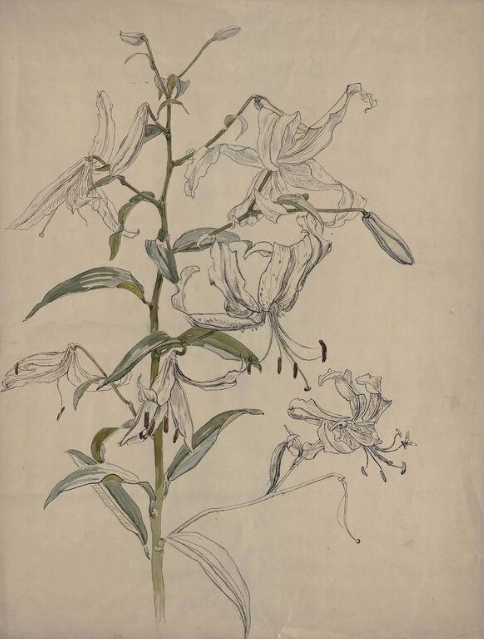 Untitled, detail