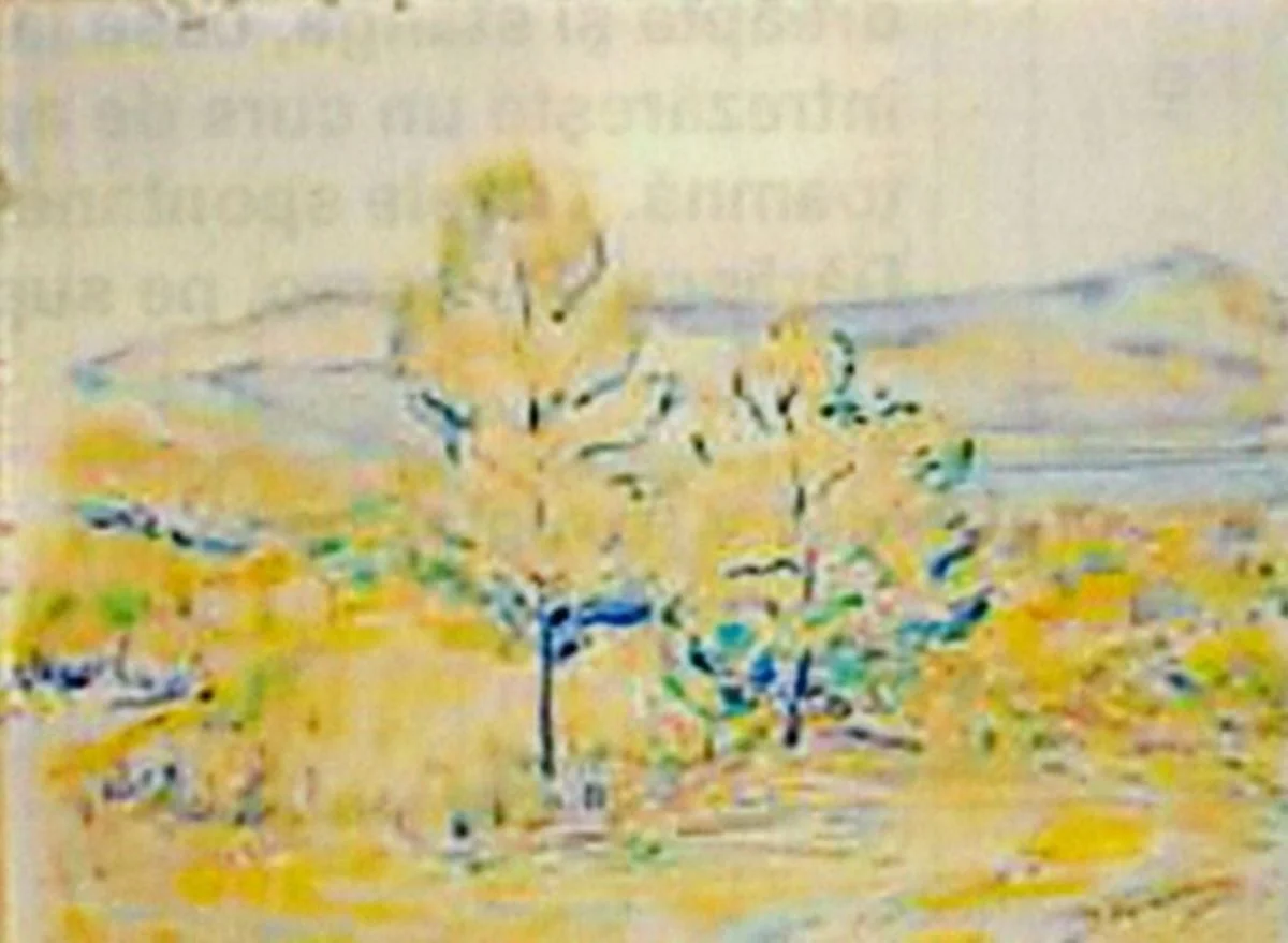 Peisaj panoramic, detail
