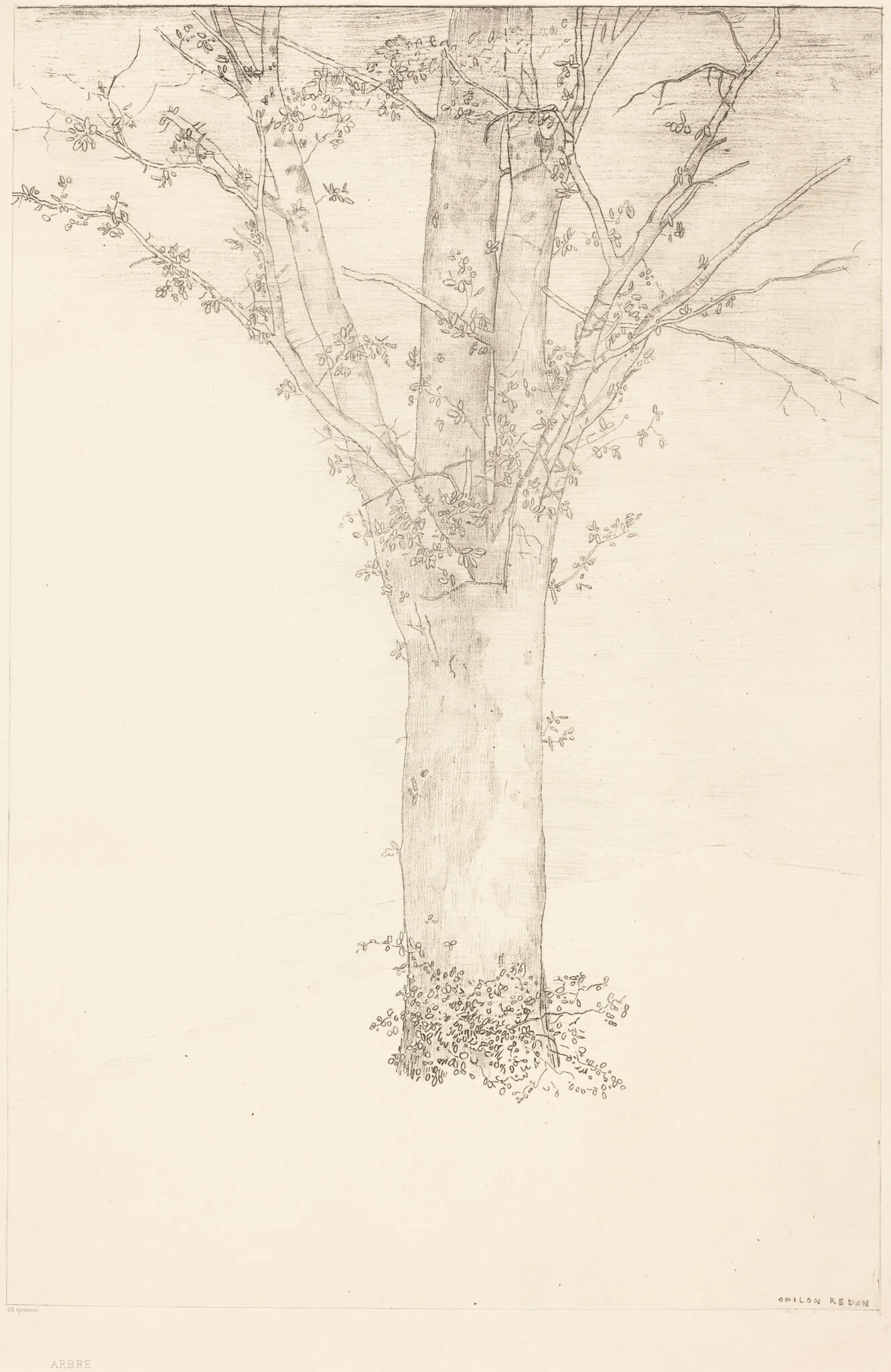 Arbre (Tree), detail