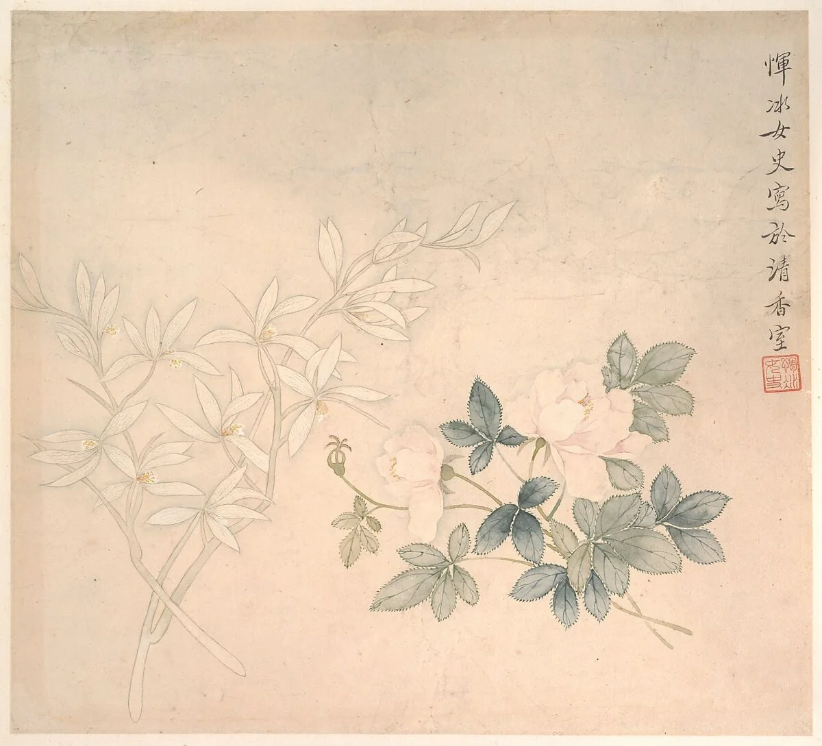 清 惲冰 花卉圖 册页|Flower Study, detail