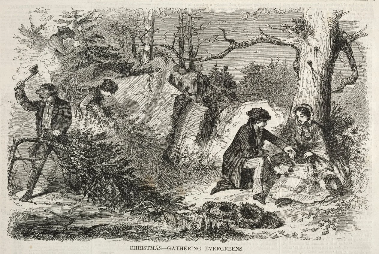 Christmas–Gathering Evergreens, detail