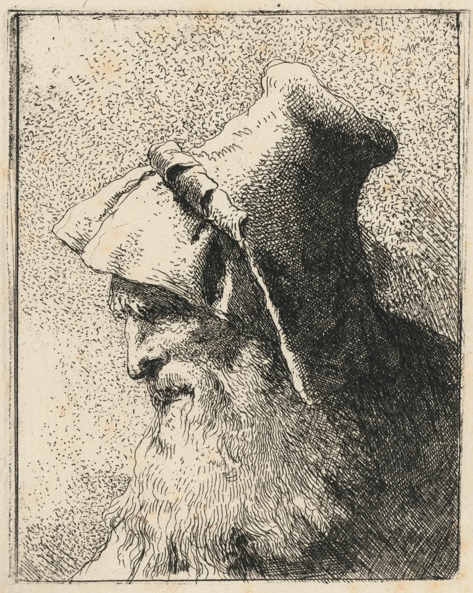 Profile of an Old Man with a Beard, detail