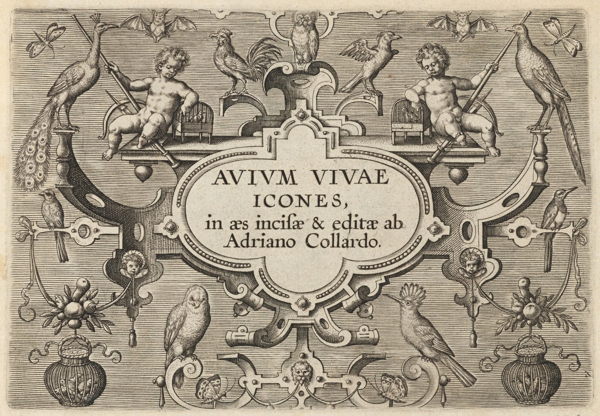 Title Page, detail