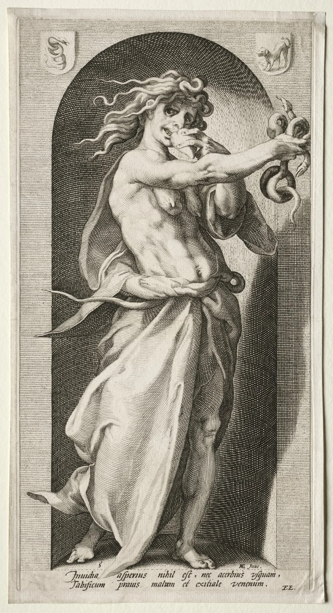 Envy, detail