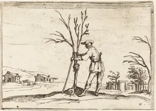 Gardener Pruning a Tree, by Jacques Callot, ink, 1628