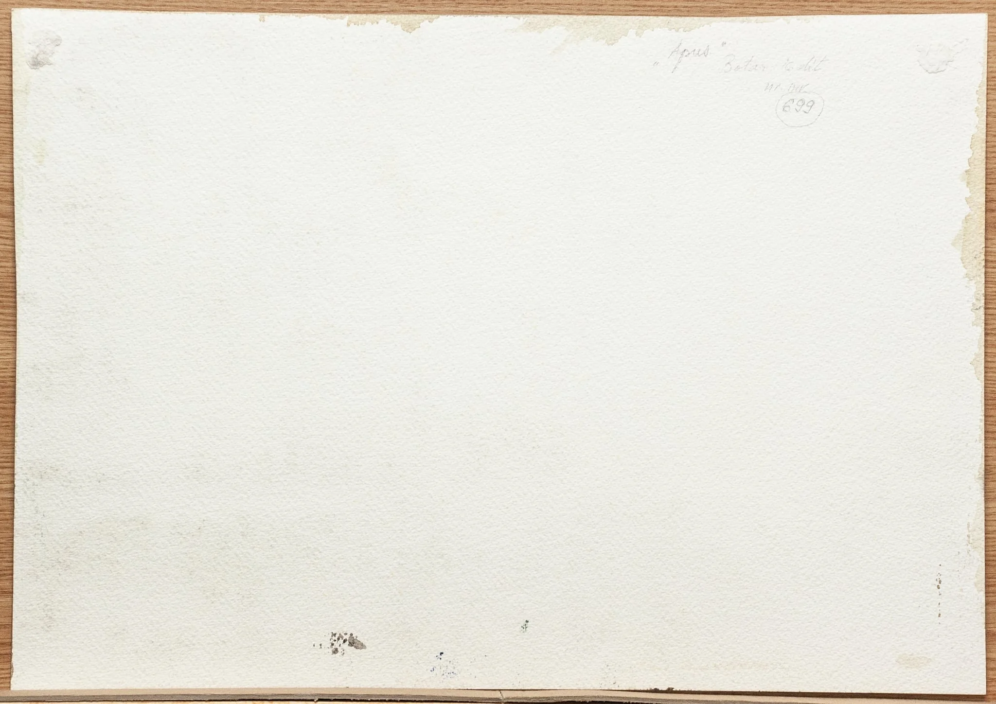 Apus, detail