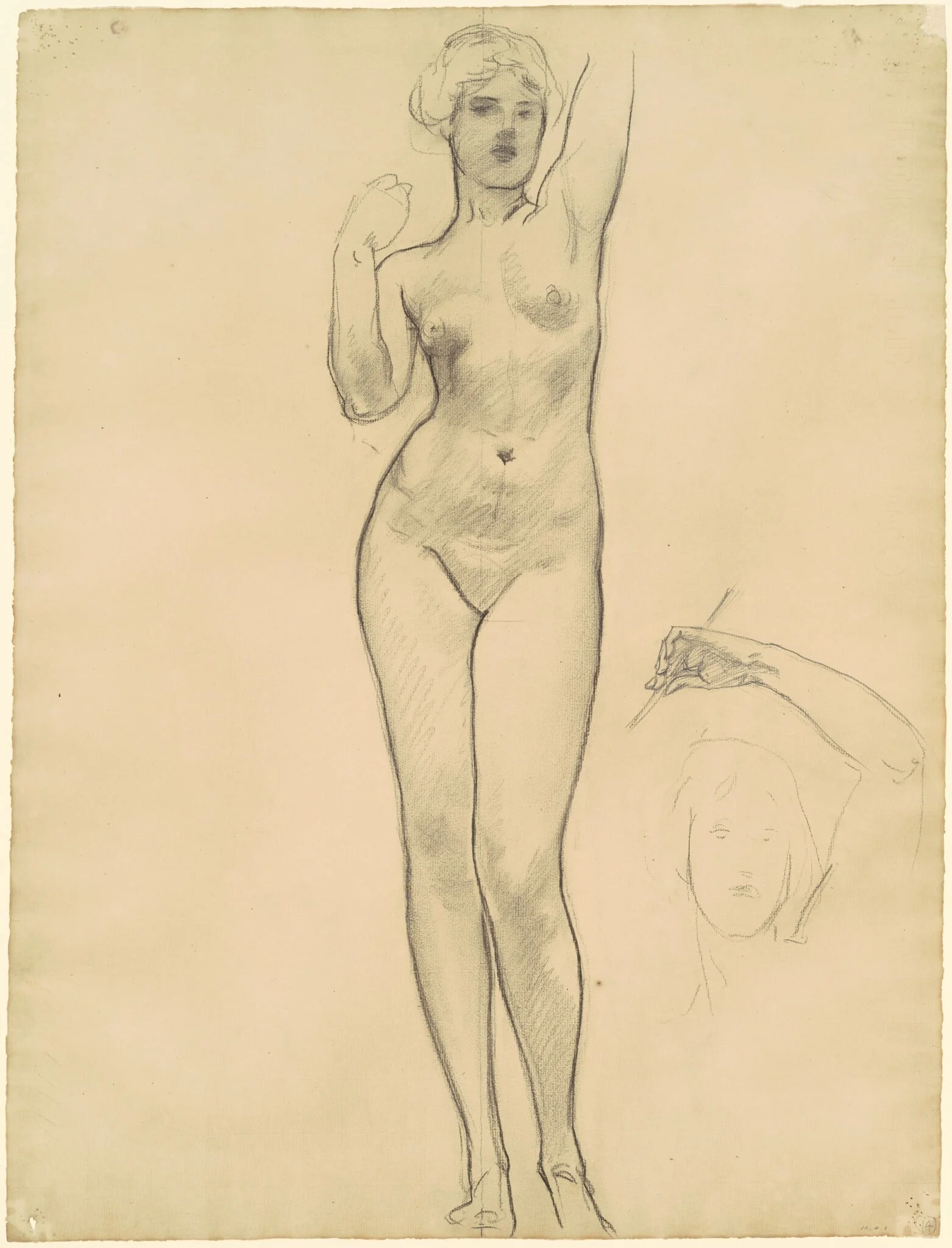 Studies of Aphrodite for "Aphrodite and Eros", detail
