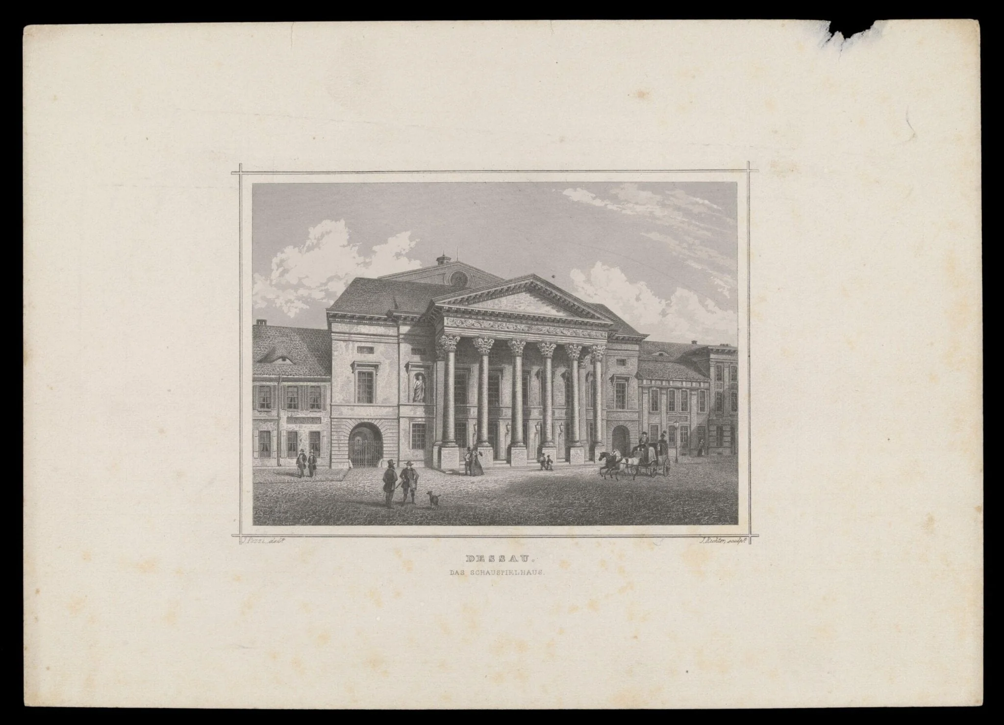 H Beard Print Collection, detail