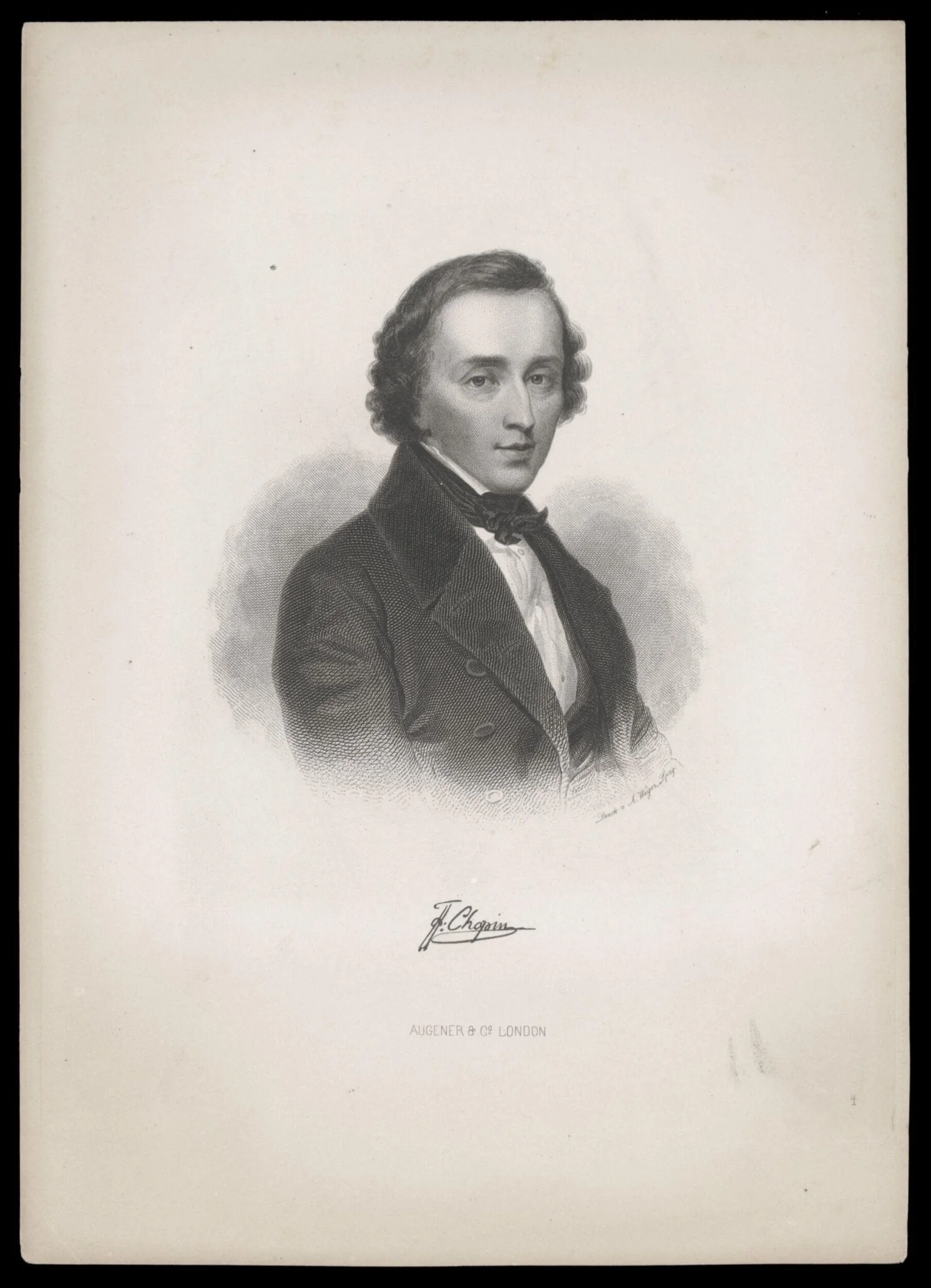 H Beard Print Collection, detail