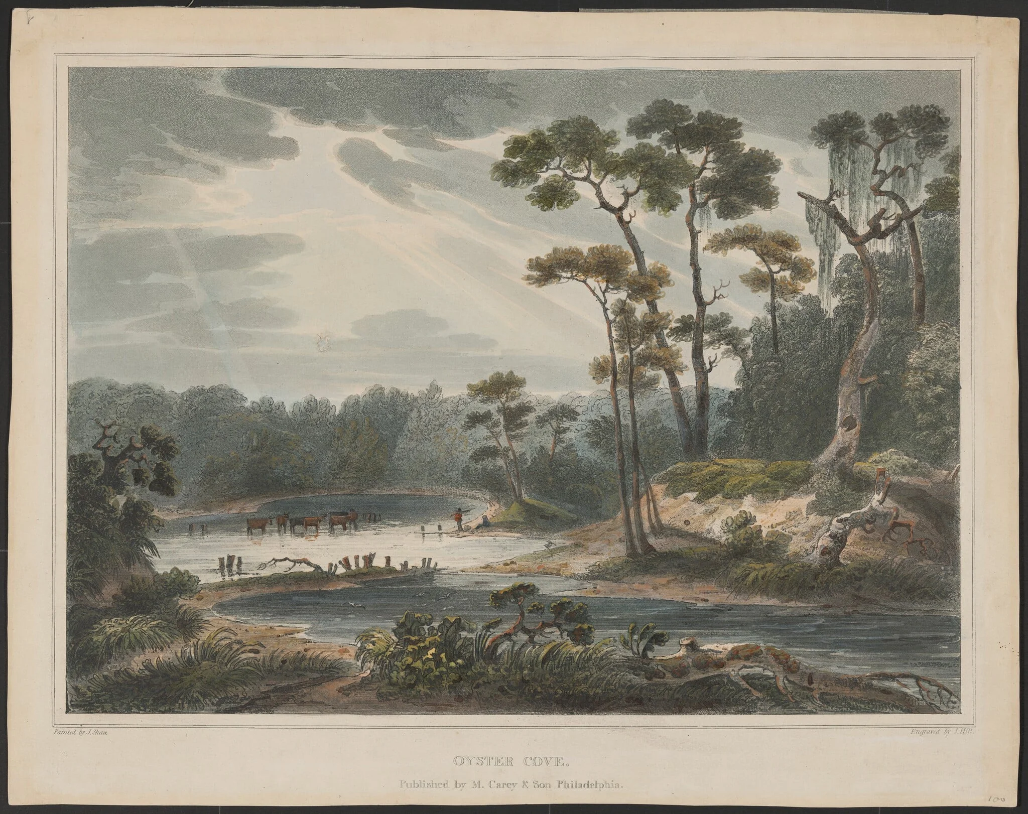 Oyster Cove, detail