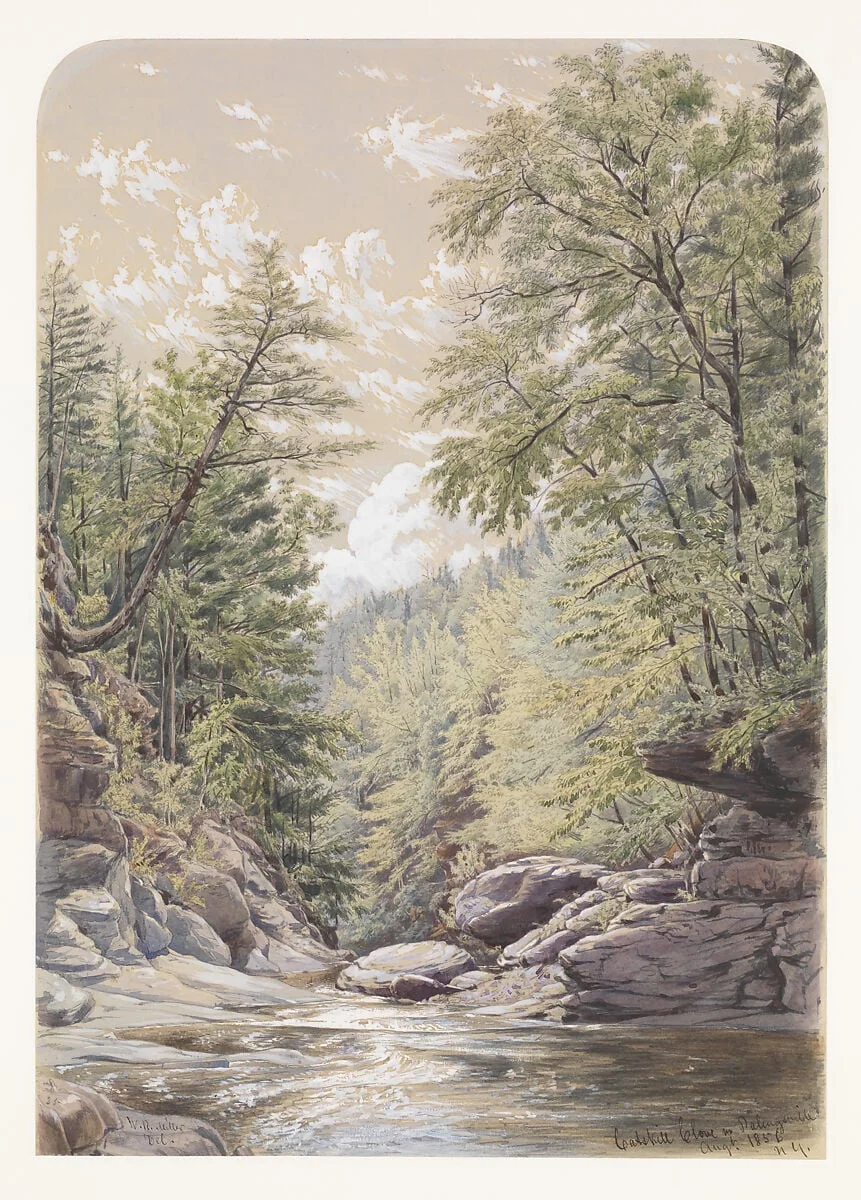 Catskill Clove in Palingsville, detail