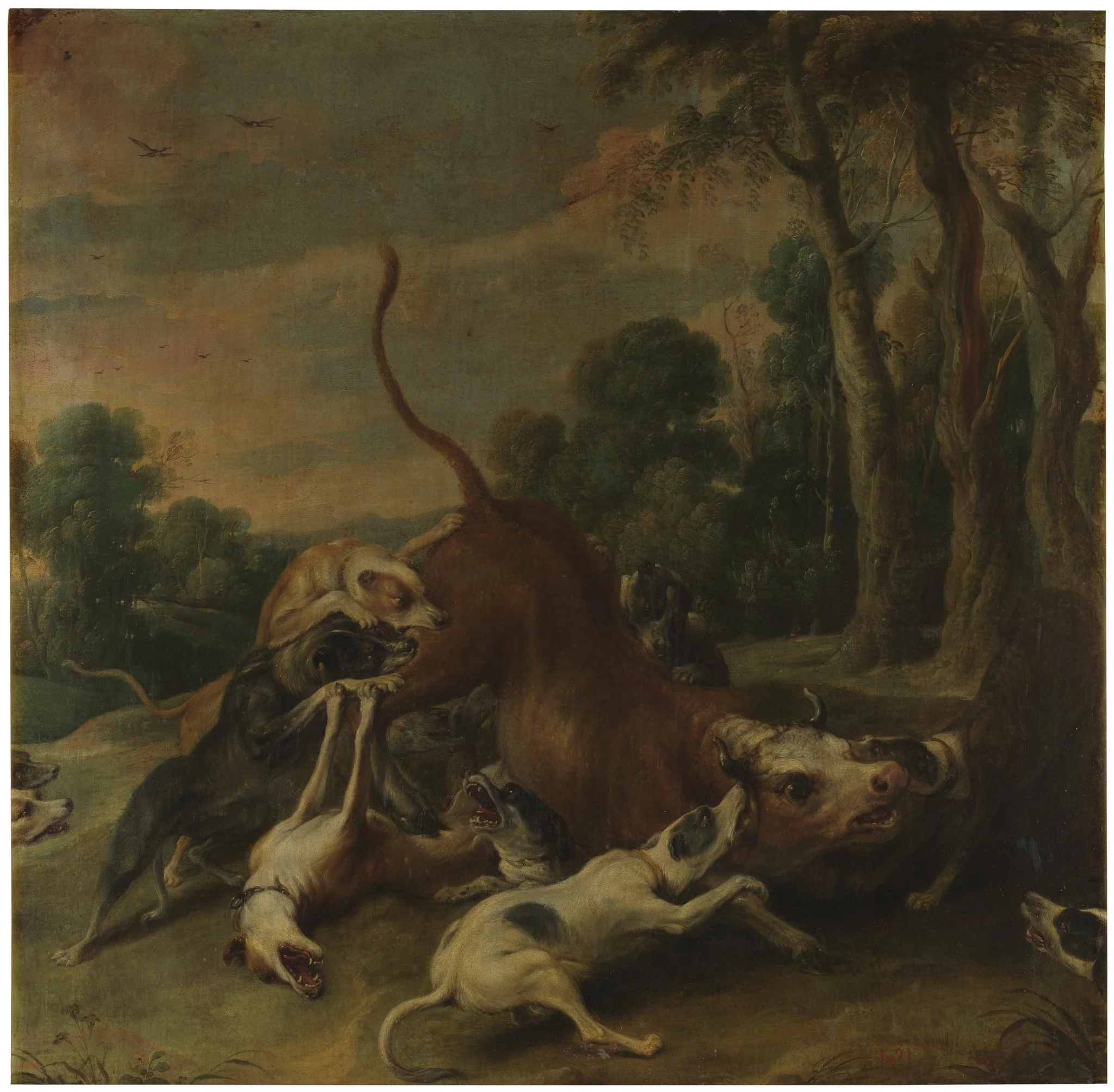 A bull overpowered by dogs, detail