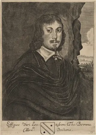 Tho. Browne, Med. Doctoris (Sir Thomas Browne, M.D.), by Thomas Cross, ink, 1653
