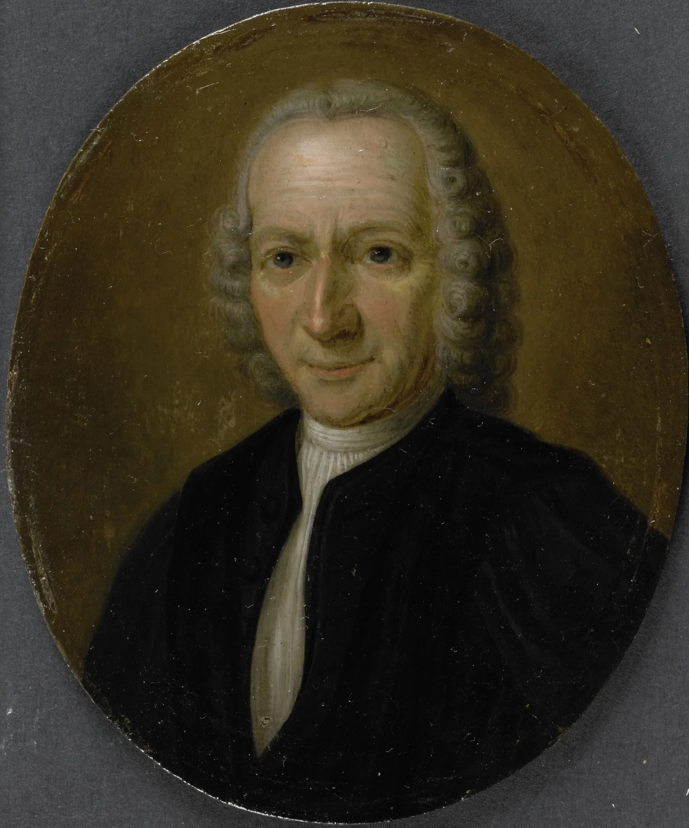 Adrianus van Royen (1704-79), professor of medicine and botany in Leiden, detail