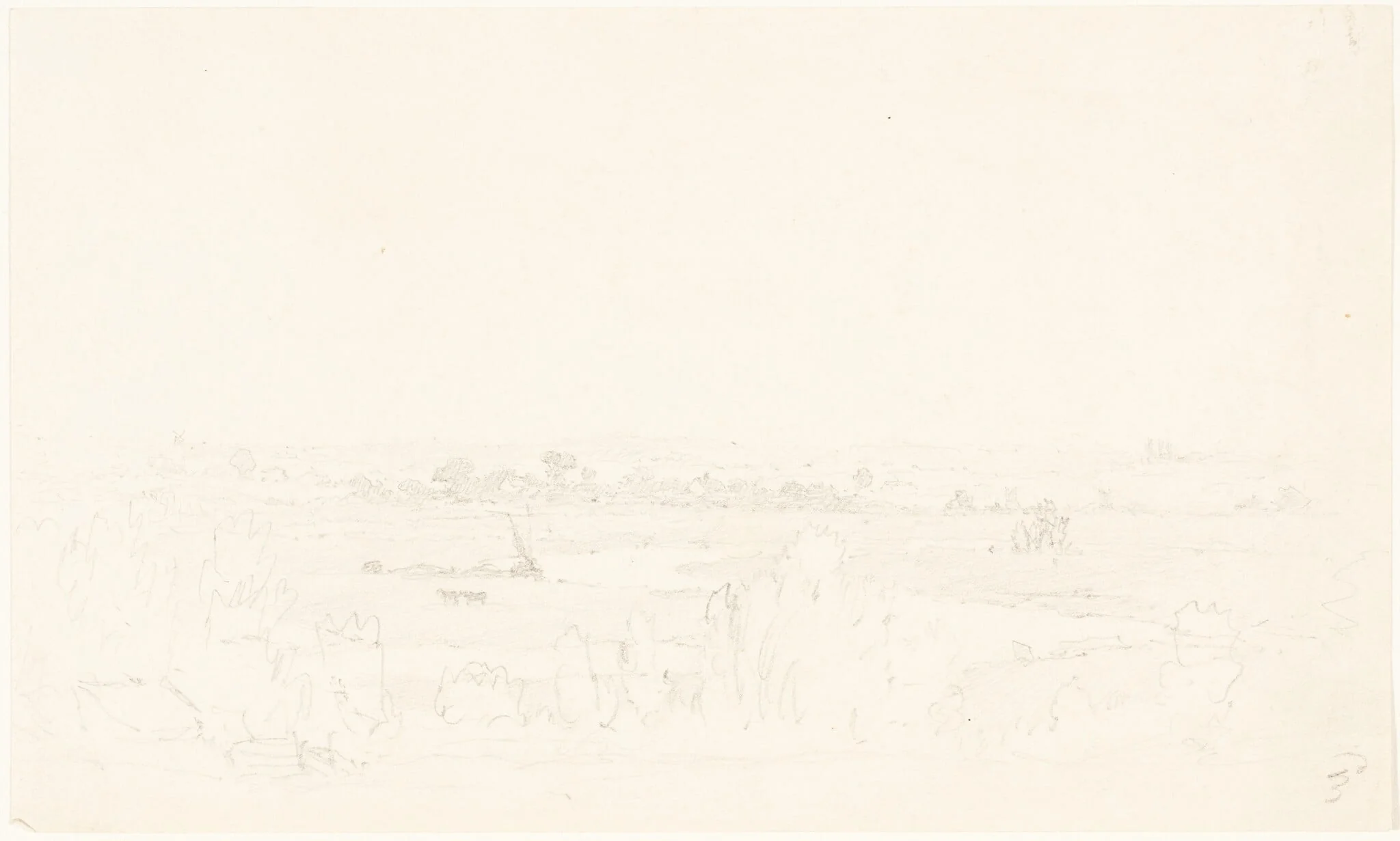 Landscape, detail